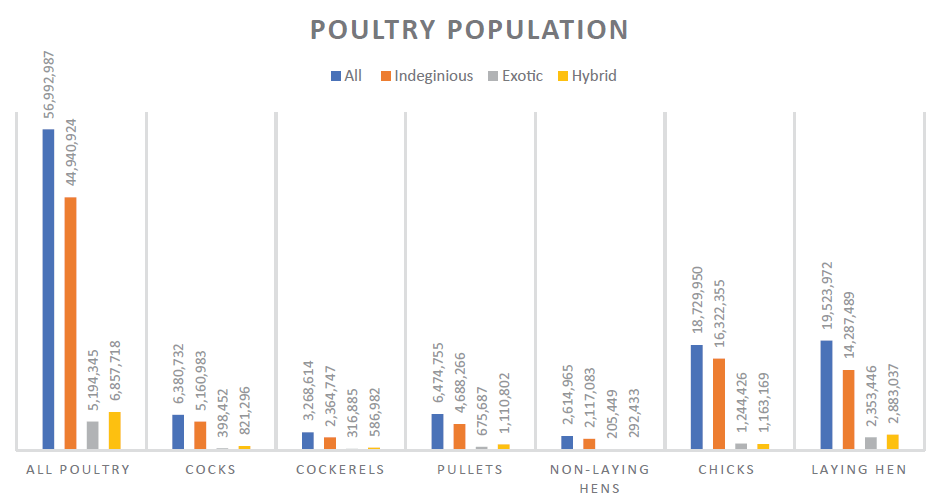 Ethiopex - Poultry population