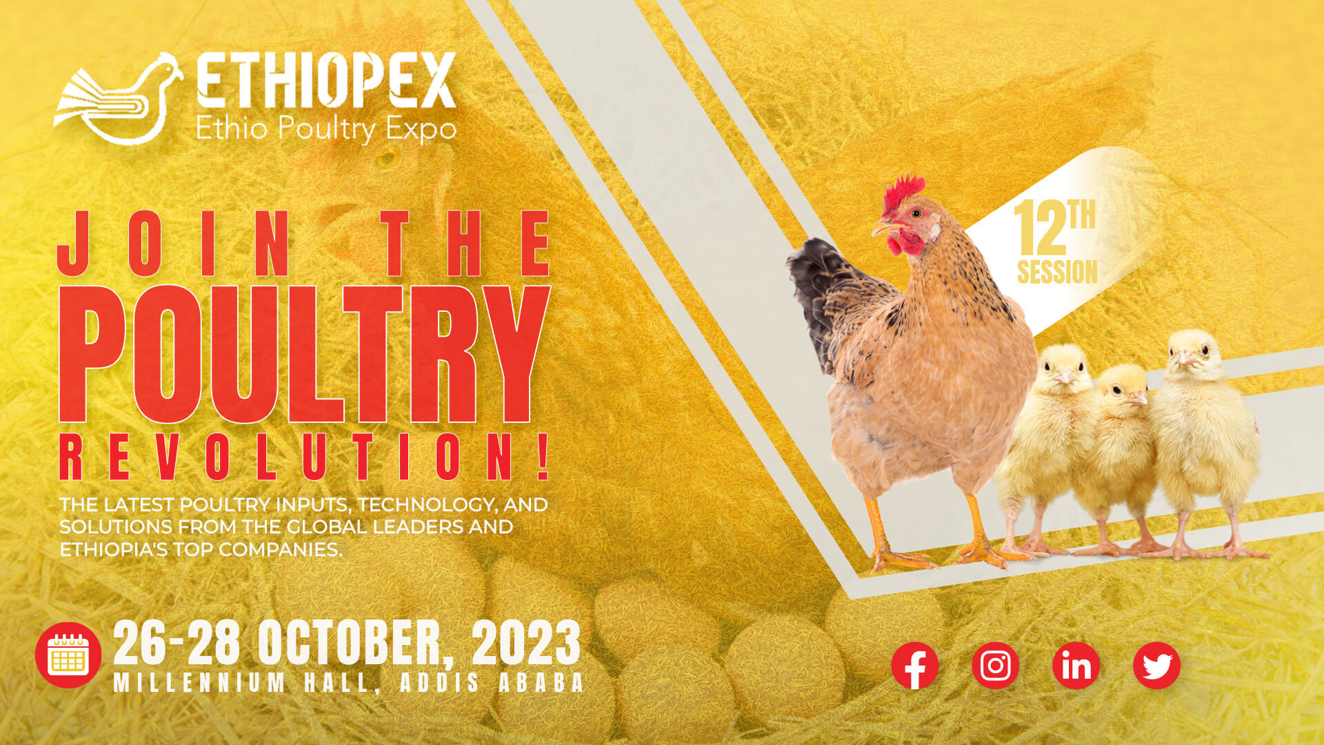 ethio-poultry-expo-2023-unleashing-opportunities-in-the-poultry